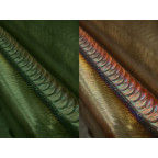 TECH C60D СВАРОГ